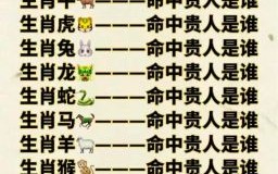送人.是什么生肖？送字代表什么生肖