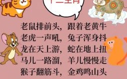 海而游泽是什么生肖？海而游泽打一最佳生肖