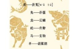 细数是什么生肖？细数是什么数字