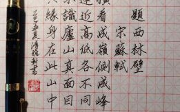 苏轼是什么生肖？苏轼打一准确生肖