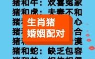 属猪相冲的生肖是什么？猪冲什么生肖正确答案