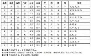 生肖12是什么？12生肖的婚配表