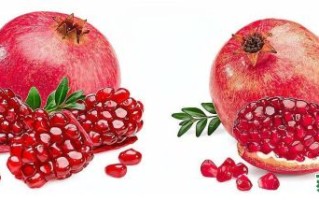 十二生肖里石榴是什么？十二生肖谁是石榴