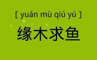 啄木求鱼是什么生肖？缘木求鱼最正确生肖