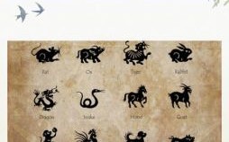 量是什么生肖？量字代表什么生肖