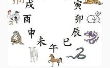 属于灵肖的是什么生肖？最灵的动物打一生肖