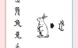 丽的动物是什么生肖？丽字最正确的生肖