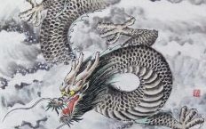 画龙点睛是什么生肖？画龙点睛打一正确动物