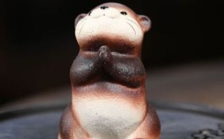 水獭是什么生肖？水獭打一正确生肖