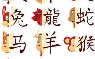 减是什么生肖？减字代表什么生肖