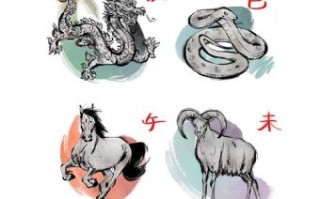 徘徊是什么生肖？独自徘徊最正确生肖