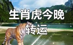 虎过了是什么生肖？虎完了是什么属相