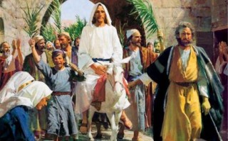 仆人是什么生肖？仆人打最正确的一肖