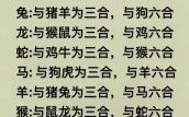 鸡三合生肖是什么？鸡三合和六个合生肖