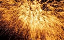 铁树银花送英雄是什么生肖？铁树银花打一正确动物