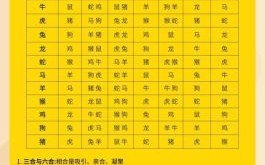 循环是什么生肖？循环打一准确生肖