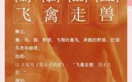 飞禽走兽是什么生肖？飞禽走兽打一正确动物