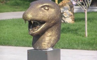 山林野战是什么生肖？满山塞野打一准确生肖