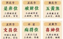 中宫是什么生肖？中宫代表什么数字