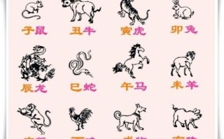 吃亏是什么生肖？吃亏最正确打一肖