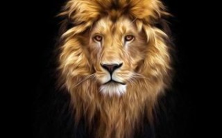 胡子长长是什么生肖？看胡子子最长最正确一肖