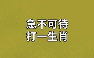 急是什么生肖？急准确打一最佳生肖