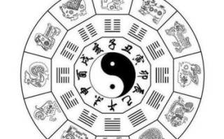 阳是什么生肖？阳打一个正确生肖