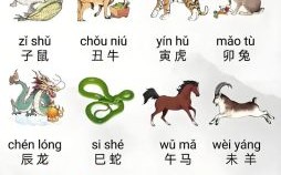 角落是什么生肖？旮旯代表什么生肖