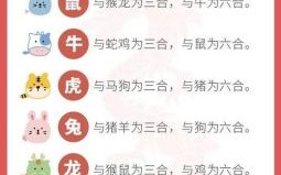 转的生肖是什么？转最正确一肖