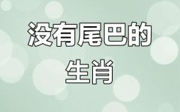的尾巴长不了是什么生肖？尾巴长不了打一动物