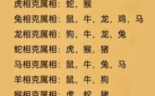 看家护院小跟班是什么生肖？少小离家老大回什么生肖