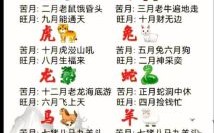 规矩是什么生肖？一到宫殿守规矩是什么生肖