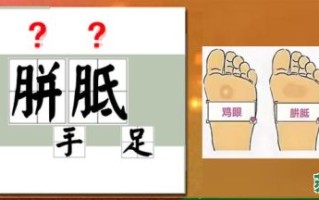 胝手胼足是什么生肖？十二生肖哪只胼手胝足