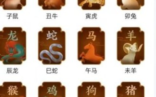盒是什么生肖？盒字打一最佳生肖