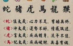 27岁属相是什么生肖？2025年27岁属啥的