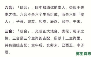 血肖是什么生肖？血代表什么动物