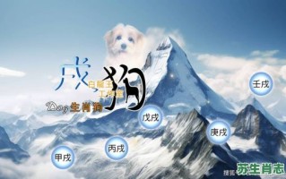 2026年生肖狗今日运势如何？事业财运与健康感情将有哪些惊喜与挑战？