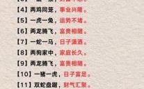 一来一往是什么生肖？一来一往正确答案一肖