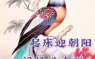 迎朝阳是什么生肖？给是指什么生肖