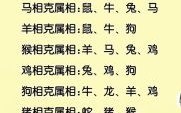 龙前狗后是什么生肖？龙前狗后三声最佳答案
