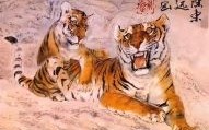 虎后面是什么生肖？虎和谁是天生一对