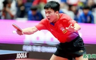 教练是什么生肖？教练打一准确数字几