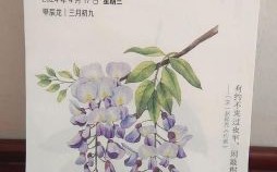 柳花是什么生肖？柳字是什么生肖