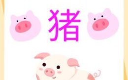 2025年是什么生肖？95年属猪的最佳配偶