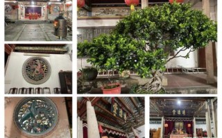 大伯公是什么生肖？潮汕伯公属什么生肖