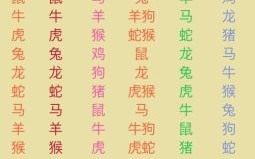 后年是什么生肖年2019？2019年犯太岁的生肖