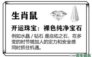 钻是什么生肖？钻代表什么数字