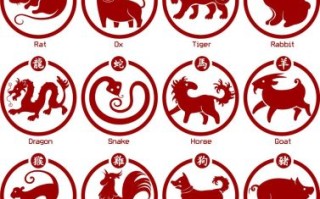 东方生肖是什么生肖？东方代表什么数字