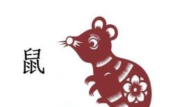 老马识途有经验是什么生肖？天涯代表什么生肖