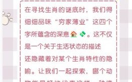 环是什么生肖？环字打最佳一个生肖